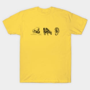 Human Ear Anatomy Diagram T-Shirt